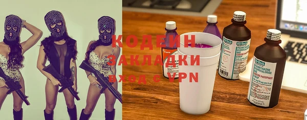 прущие грибы Каменногорск